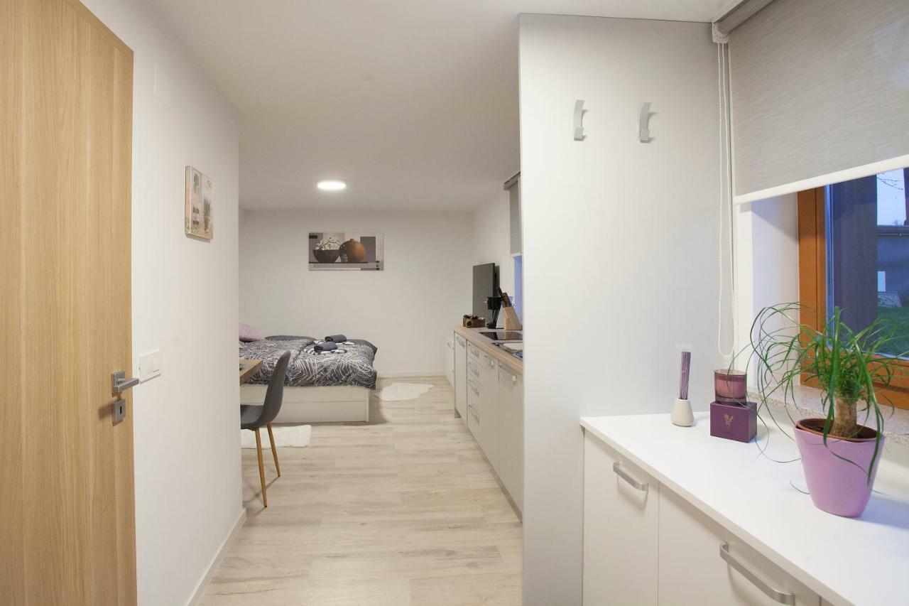 Studio Jan Zgornje Gorje Extérieur photo